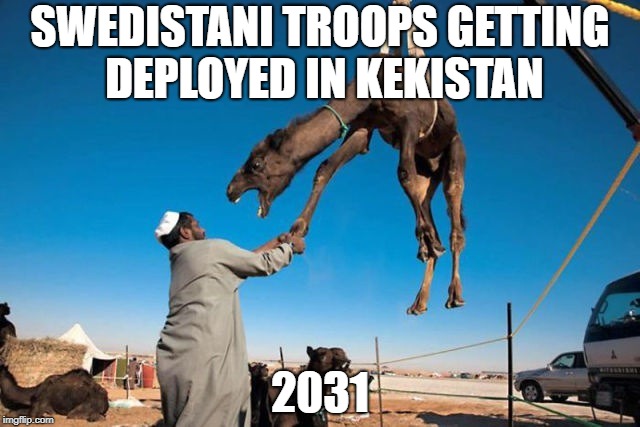 Swedistani Troops In Kekistan | SWEDISTANI TROOPS GETTING DEPLOYED IN KEKISTAN; 2031 | image tagged in camel on rope | made w/ Imgflip meme maker