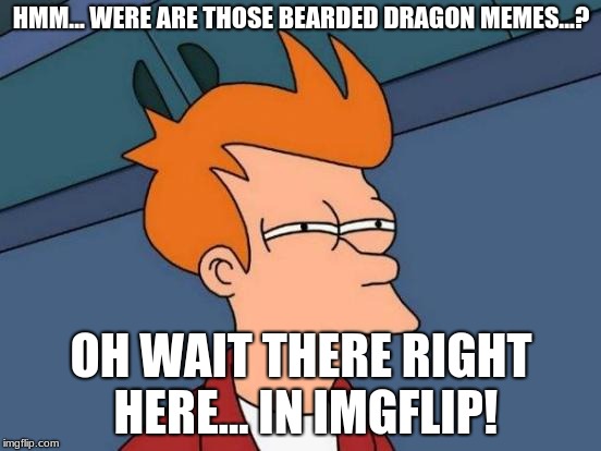 were are the memes?! | HMM... WERE ARE THOSE BEARDED DRAGON MEMES...? OH WAIT THERE RIGHT HERE... IN IMGFLIP! | image tagged in memes,futurama fry,here they are,bearded dragon | made w/ Imgflip meme maker