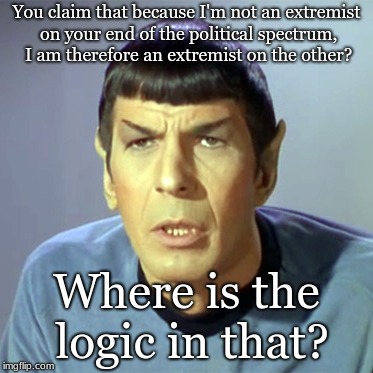 Spock disappointed but not surprised | You claim that because I'm not an extremist on your end of the political spectrum, I am therefore an extremist on the other? Where is the logic in that? | image tagged in spock disappointed but not surprised | made w/ Imgflip meme maker