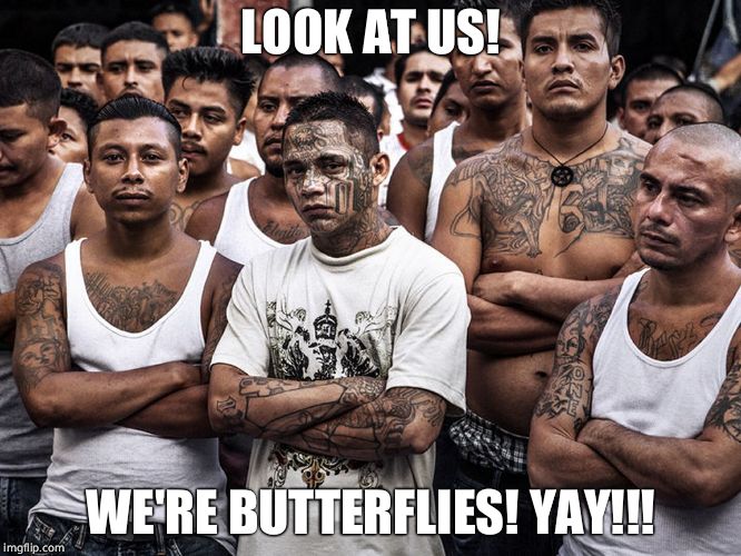 ms-13 dreamers daca | LOOK AT US! WE'RE BUTTERFLIES! YAY!!! | image tagged in ms-13 dreamers daca | made w/ Imgflip meme maker