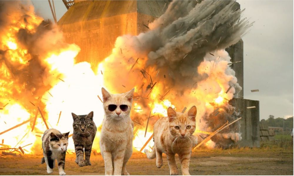 Cats walking away from explosion Blank Meme Template