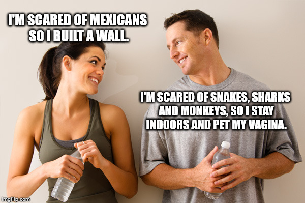 Man and woman | I'M SCARED OF MEXICANS SO I BUILT A WALL. I'M SCARED OF SNAKES, SHARKS AND MONKEYS, SO I STAY INDOORS AND PET MY VA**NA. | image tagged in man and woman | made w/ Imgflip meme maker