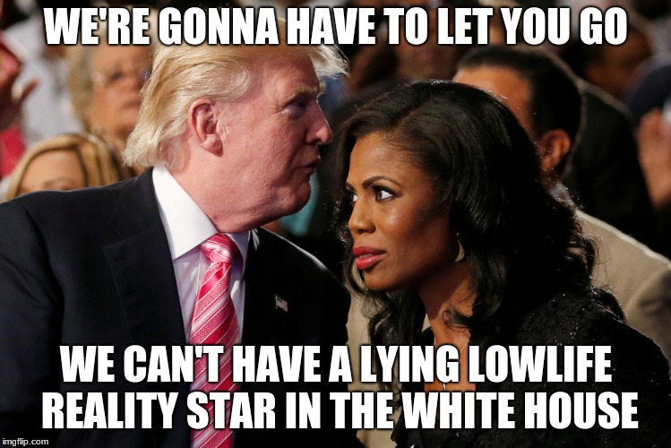 Couldn't agree more | WE'RE GONNA HAVE TO LET YOU GO; WE CAN'T HAVE A LYING LOWLIFE REALITY STAR IN THE WHITE HOUSE | image tagged in trump,omarosa,irony,funny,memes | made w/ Imgflip meme maker