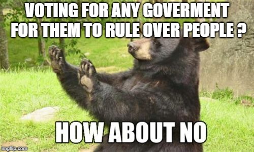 How About No Bear | VOTING FOR ANY GOVERMENT FOR THEM TO RULE OVER PEOPLE ? | image tagged in memes,how about no bear | made w/ Imgflip meme maker