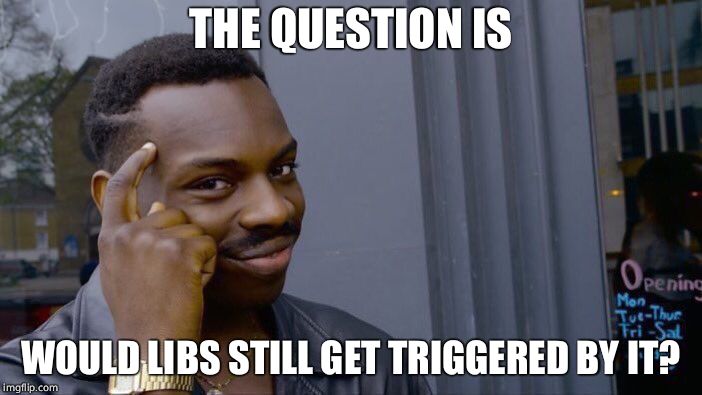 Roll Safe Think About It Meme | THE QUESTION IS WOULD LIBS STILL GET TRIGGERED BY IT? | image tagged in memes,roll safe think about it | made w/ Imgflip meme maker