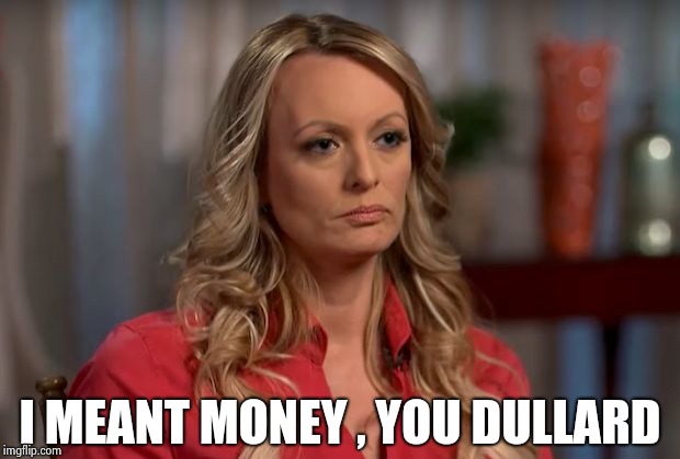 stormy daniels | I MEANT MONEY , YOU DULLARD | image tagged in stormy daniels | made w/ Imgflip meme maker