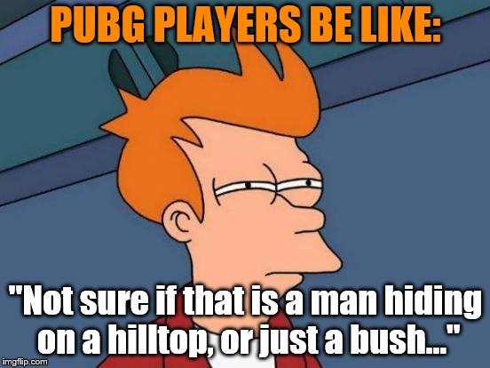 PUBG players be like | PUBG PLAYERS BE LIKE:; "Not sure if that is a man hiding on a hilltop, or just a bush..." | image tagged in memes,futurama fry,funny,bush,pubg,be like | made w/ Imgflip meme maker