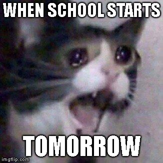 WHEN SCHOOL STARTS; TOMORROW | image tagged in crying cat | made w/ Imgflip meme maker