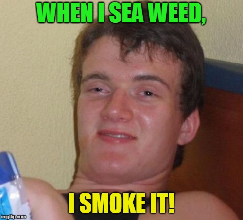 10 Guy Meme | WHEN I SEA WEED, I SMOKE IT! | image tagged in memes,10 guy | made w/ Imgflip meme maker
