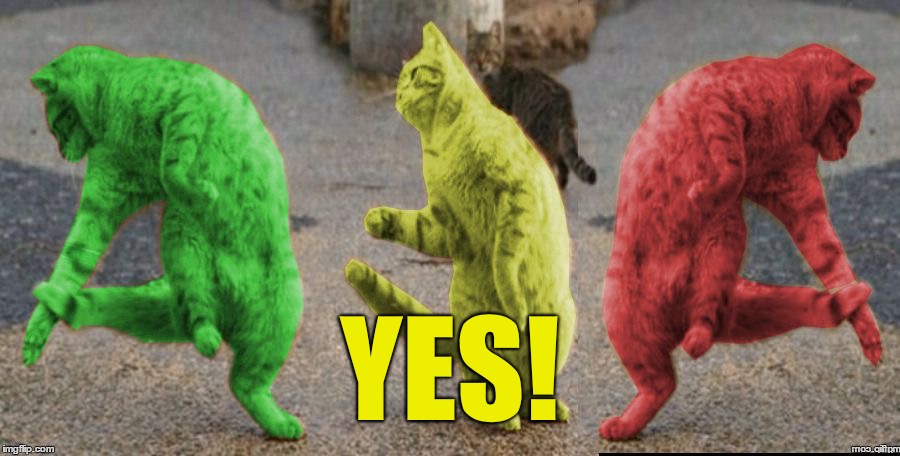 Three Dancing RayCats | YES! | image tagged in three dancing raycats | made w/ Imgflip meme maker