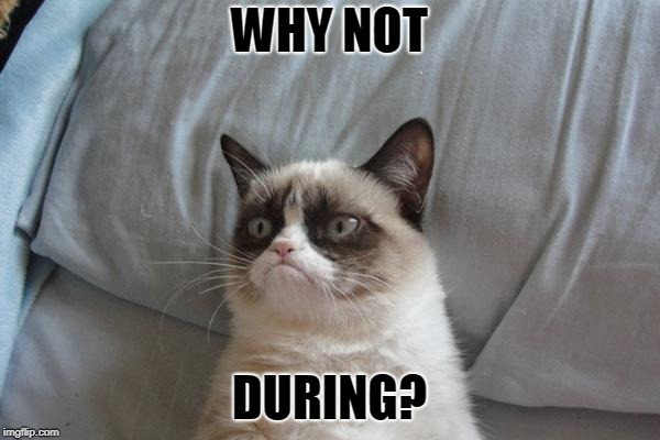 Grumpy Cat Bed Meme | WHY NOT DURING? | image tagged in memes,grumpy cat bed,grumpy cat | made w/ Imgflip meme maker