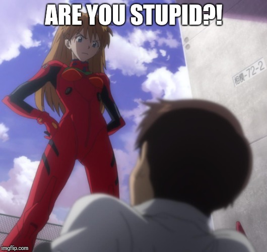 Are you stupid?! | ARE YOU STUPID?! | image tagged in asuka langley soryu | made w/ Imgflip meme maker