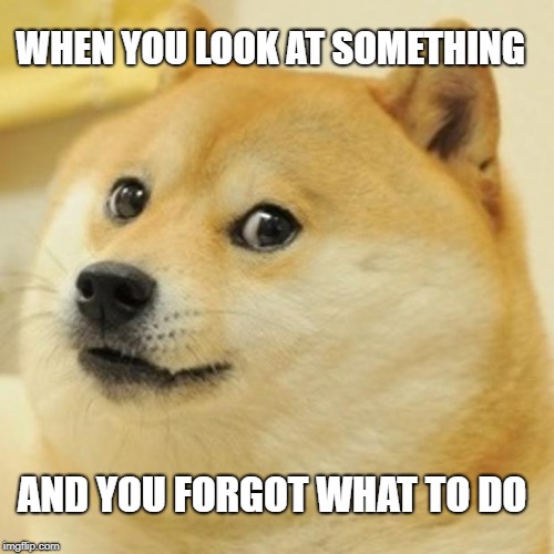 Doge Meme | WHEN YOU LOOK AT SOMETHING; AND YOU FORGOT WHAT TO DO | image tagged in memes,doge | made w/ Imgflip meme maker