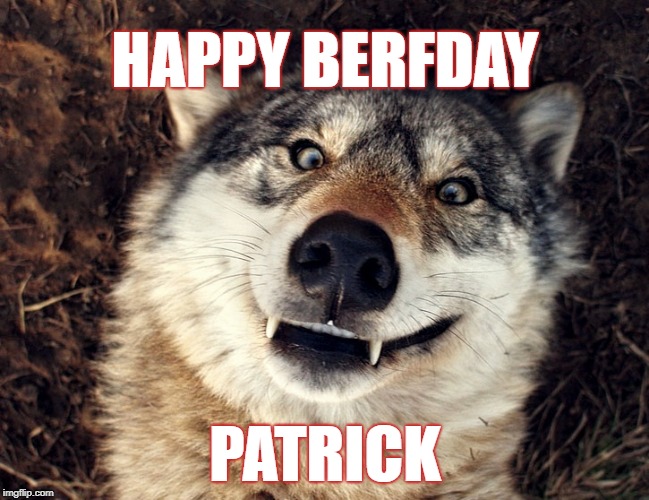 Derp Wolf | HAPPY BERFDAY; PATRICK | image tagged in nerp derp | made w/ Imgflip meme maker