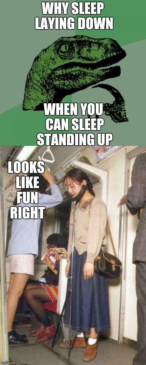 Philosoraptor sleepoligy  | WHY SLEEP LAYING DOWN; WHEN YOU CAN SLEEP STANDING UP; LOOKS LIKE FUN RIGHT | image tagged in memes,philosoraptor,sleeping,subway,stand,funny picture | made w/ Imgflip meme maker