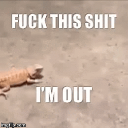 nope nope nope nope | image tagged in gifs,bearded dragon | made w/ Imgflip video-to-gif maker