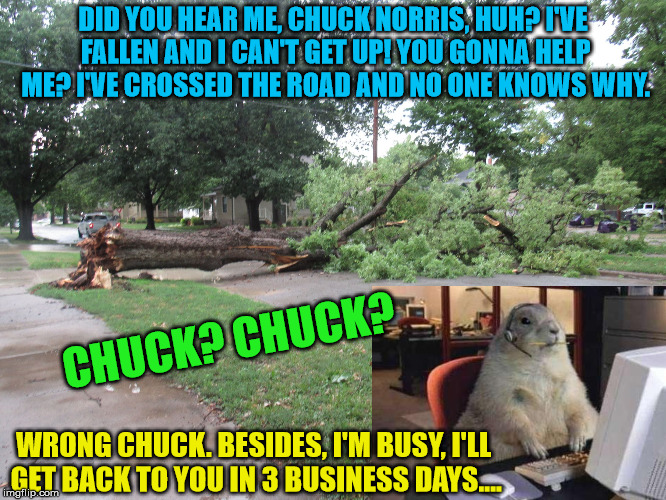 Fallen Tree | DID YOU HEAR ME, CHUCK NORRIS, HUH? I'VE FALLEN AND I CAN'T GET UP! YOU GONNA HELP ME? I'VE CROSSED THE ROAD AND NO ONE KNOWS WHY. CHUCK? CH | image tagged in fallen tree | made w/ Imgflip meme maker