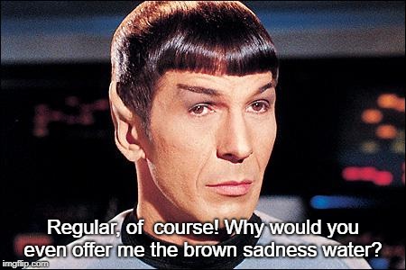 Condescending Spock | Regular, of  course! Why would you even offer me the brown sadness water? | image tagged in condescending spock | made w/ Imgflip meme maker