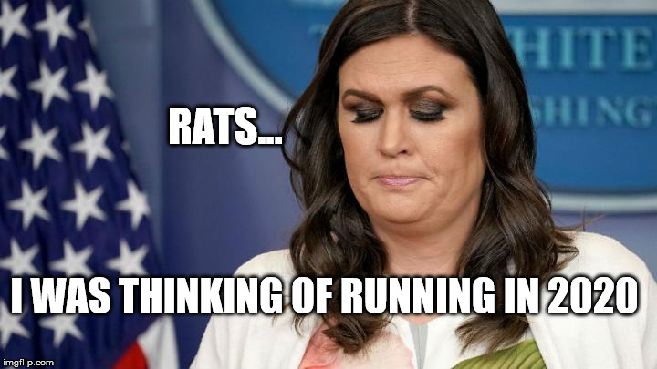 sarah huckabee sanders | RATS... I WAS THINKING OF RUNNING IN 2020 | image tagged in sarah huckabee sanders | made w/ Imgflip meme maker