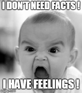 Angry Baby Meme | I DON'T NEED FACTS ! I HAVE FEELINGS ! | image tagged in memes,angry baby | made w/ Imgflip meme maker