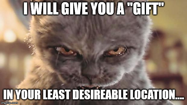 Evil Cat | I WILL GIVE YOU A "GIFT" IN YOUR LEAST DESIREABLE LOCATION.... | image tagged in evil cat | made w/ Imgflip meme maker