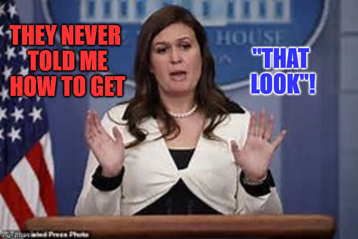 sarah huckabee sanders  | THEY NEVER TOLD ME HOW TO GET "THAT LOOK"! | image tagged in sarah huckabee sanders | made w/ Imgflip meme maker