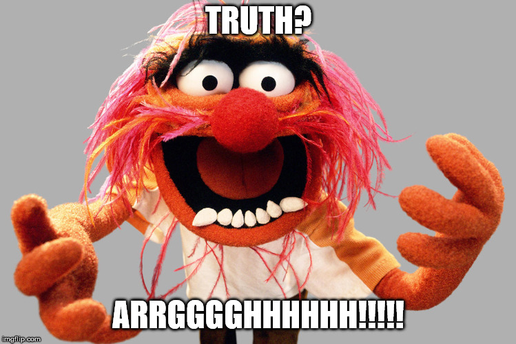 animal muppets | TRUTH? ARRGGGGHHHHHH!!!!! | image tagged in animal muppets | made w/ Imgflip meme maker