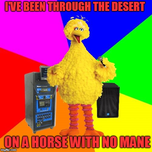 Wrong lyrics karaoke big bird | I'VE BEEN THROUGH THE DESERT; ON A HORSE WITH NO MANE | image tagged in wrong lyrics karaoke big bird | made w/ Imgflip meme maker