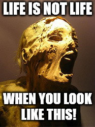 The Mummy | LIFE IS NOT LIFE WHEN YOU LOOK LIKE THIS! | image tagged in the mummy | made w/ Imgflip meme maker