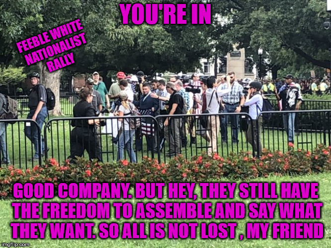 White nationalists | YOU'RE IN GOOD COMPANY. BUT HEY, THEY STILL HAVE THE FREEDOM TO ASSEMBLE AND SAY WHAT THEY WANT. SO ALL IS NOT LOST , MY FRIEND FEEBLE WHITE | image tagged in white nationalists | made w/ Imgflip meme maker