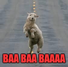 dancing sheep | BAA BAA BAAAA | image tagged in dancing sheep | made w/ Imgflip meme maker