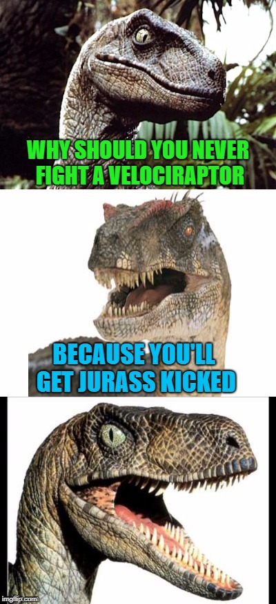 Then there's that whole getting eaten thing... | WHY SHOULD YOU NEVER FIGHT A VELOCIRAPTOR; BECAUSE YOU'LL GET JURASS KICKED | image tagged in bad pun velociraptor,memes,velociraptor,funny,puns,jurassic | made w/ Imgflip meme maker