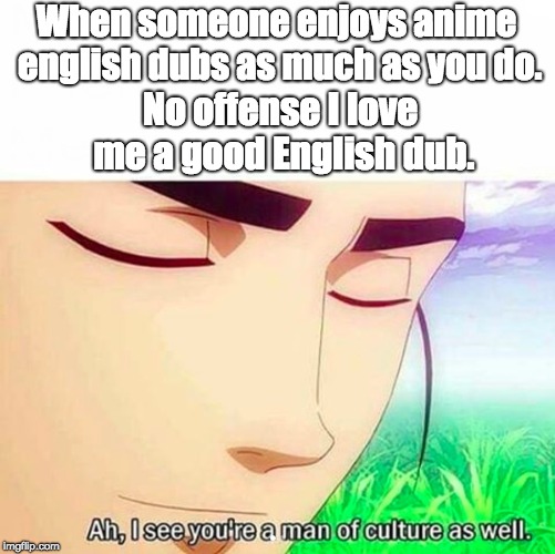 Ah,I see you are a man of culture as well | When someone enjoys anime english dubs as much as you do. No offense I love me a good English dub. | image tagged in ah i see you are a man of culture as well | made w/ Imgflip meme maker