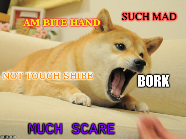 doge bite | SUCH MAD; AM BITE HAND; NOT TOUCH SHIBE; BORK; MUCH SCARE | image tagged in doge | made w/ Imgflip meme maker