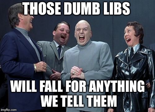 Laughing Villains Meme | THOSE DUMB LIBS WILL FALL FOR ANYTHING WE TELL THEM | image tagged in memes,laughing villains | made w/ Imgflip meme maker