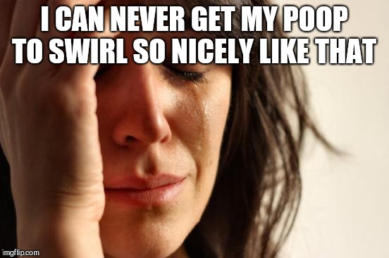 First World Problems Meme | I CAN NEVER GET MY POOP TO SWIRL SO NICELY LIKE THAT | image tagged in memes,first world problems | made w/ Imgflip meme maker