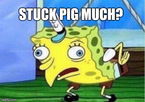 Mocking Spongebob Meme | STUCK PIG MUCH? | image tagged in memes,mocking spongebob | made w/ Imgflip meme maker