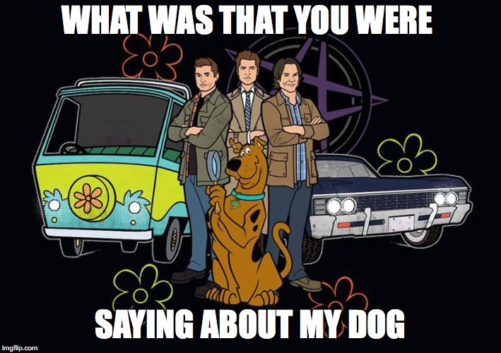 WHAT WAS THAT YOU WERE; SAYING ABOUT MY DOG | image tagged in scoobynatural,supernatural,scooby-doo | made w/ Imgflip meme maker