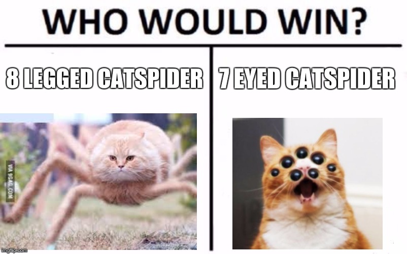 Who Would Win? Meme | 8 LEGGED CATSPIDER; 7 EYED CATSPIDER | image tagged in memes,who would win | made w/ Imgflip meme maker