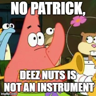 No Patrick Meme | NO PATRICK, DEEZ NUTS IS NOT AN INSTRUMENT | image tagged in memes,no patrick | made w/ Imgflip meme maker