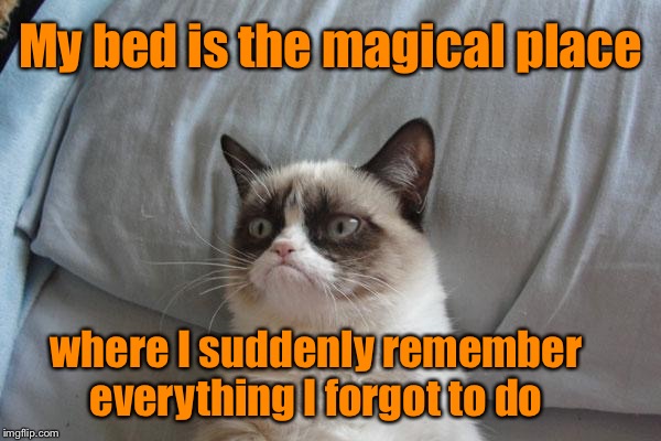 What keeps you up at night... | My bed is the magical place; where I suddenly remember everything I forgot to do | image tagged in memes,grumpy cat bed,grumpy cat | made w/ Imgflip meme maker