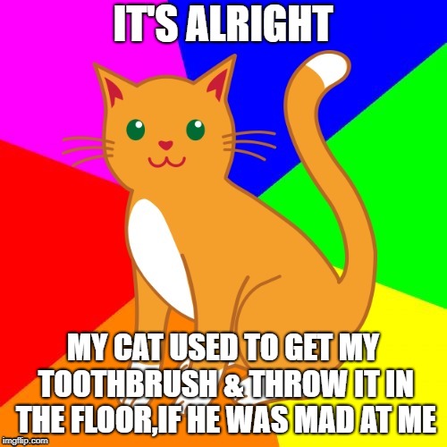IT'S ALRIGHT MY CAT USED TO GET MY TOOTHBRUSH & THROW IT IN THE FLOOR,IF HE WAS MAD AT ME | made w/ Imgflip meme maker