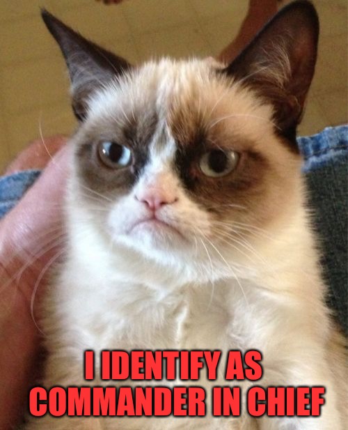 Grumpy Cat Meme | I IDENTIFY AS COMMANDER IN CHIEF | image tagged in memes,grumpy cat | made w/ Imgflip meme maker