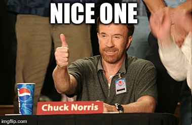 Chuck Norris Approves Meme | NICE ONE | image tagged in memes,chuck norris approves,chuck norris | made w/ Imgflip meme maker