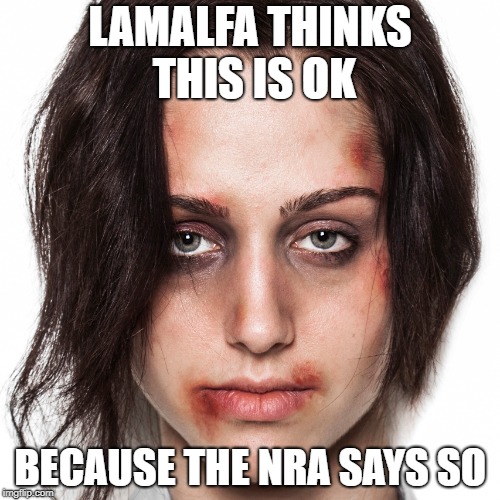 Violence Against Women Act | LAMALFA THINKS THIS IS OK; BECAUSE THE NRA SAYS SO | image tagged in politics | made w/ Imgflip meme maker