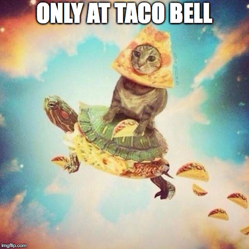 Space Pizza Cat Turtle Tacos | ONLY AT TACO BELL | image tagged in space pizza cat turtle tacos | made w/ Imgflip meme maker