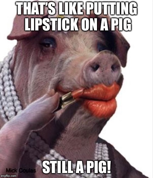 Lipstick on a pig | THAT’S LIKE PUTTING LIPSTICK ON A PIG STILL A PIG! | image tagged in lipstick on a pig | made w/ Imgflip meme maker