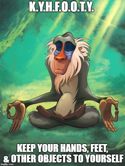 rafiki | K.Y.H.F.O.O.T.Y. KEEP YOUR HANDS, FEET, & OTHER OBJECTS TO YOURSELF | image tagged in rafiki | made w/ Imgflip meme maker