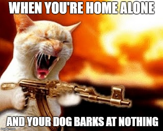 machine gun cat | WHEN YOU'RE HOME ALONE; AND YOUR DOG BARKS AT NOTHING | image tagged in machine gun cat | made w/ Imgflip meme maker