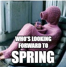 65 Days Till Spring | WHO'S LOOKING FORWARD TO; SPRING | image tagged in 65 days till spring | made w/ Imgflip meme maker